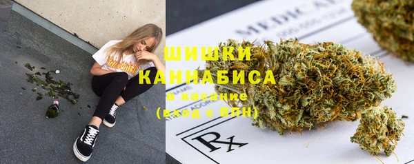 spice Костерёво