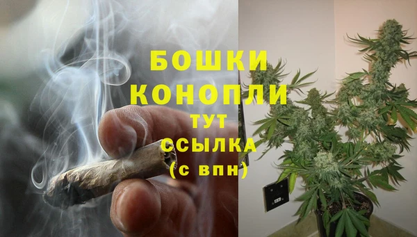 spice Костерёво